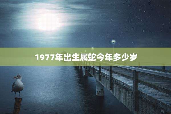 1977年出生属蛇今年多少岁
