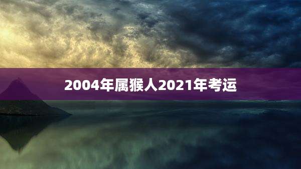 2004年属猴人2021年考运