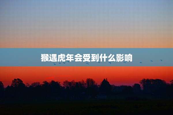 猴遇虎年会受到什么影响