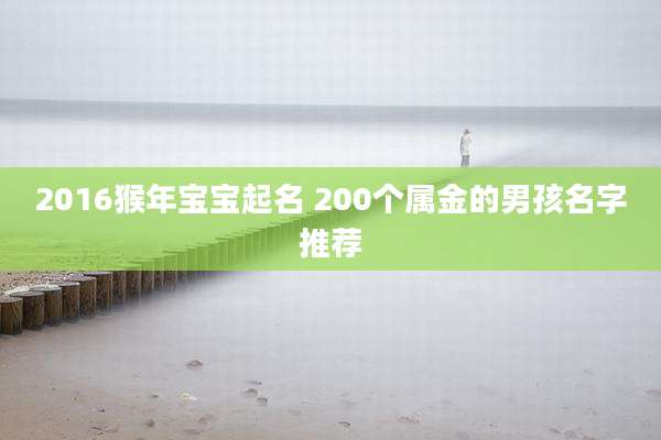 2016猴年宝宝起名 200个属金的男孩名字推荐
