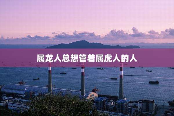 属龙人总想管着属虎人的人