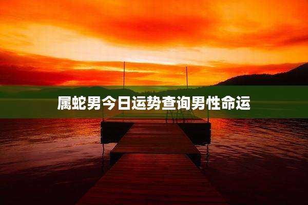属蛇男今日运势查询男性命运