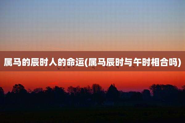 属马的辰时人的命运(属马辰时与午时相合吗)