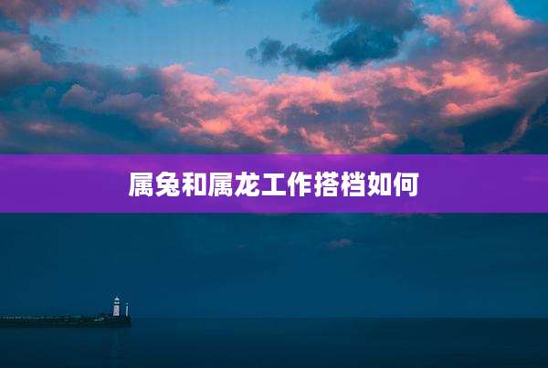 属兔和属龙工作搭档如何