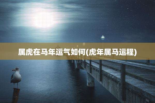 属虎在马年运气如何(虎年属马运程)