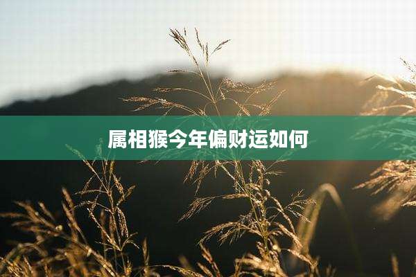 属相猴今年偏财运如何