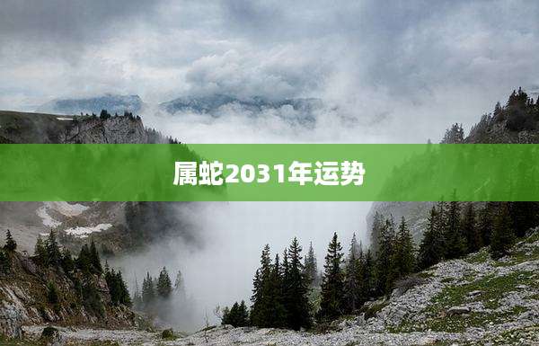 属蛇2031年运势