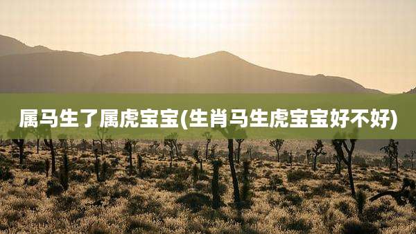 属马生了属虎宝宝(生肖马生虎宝宝好不好)