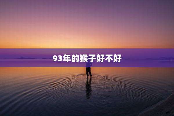 93年的猴子好不好