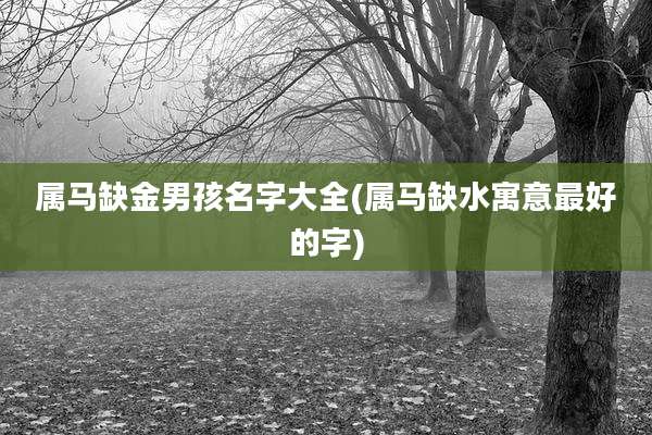 属马缺金男孩名字大全(属马缺水寓意最好的字)