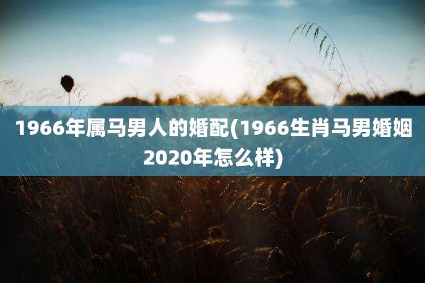 1966年属马男人的婚配(1966生肖马男婚姻2020年怎么样)
