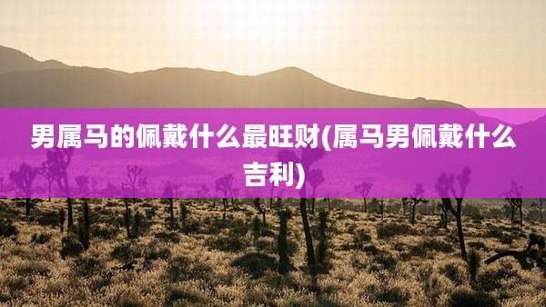 男属马的佩戴什么最旺财(属马男佩戴什么吉利)