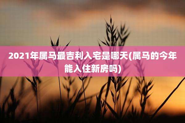 2021年属马最吉利入宅是哪天(属马的今年能入住新房吗)