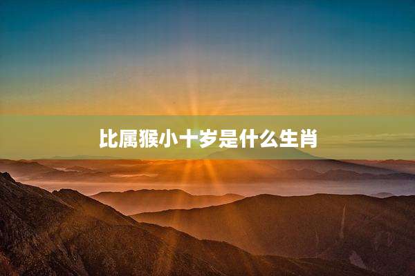 比属猴小十岁是什么生肖