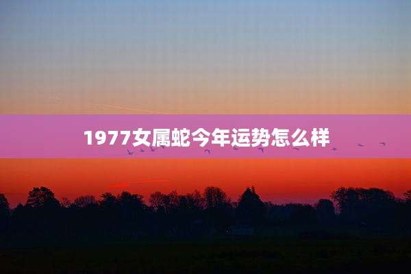 1977女属蛇今年运势怎么样