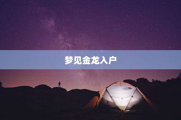 梦见金龙入户