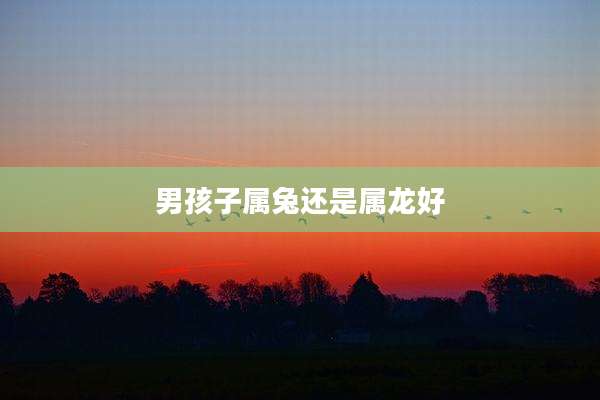男孩子属兔还是属龙好