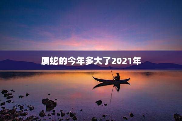 属蛇的今年多大了2021年