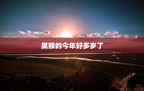 属猴的今年好多岁了