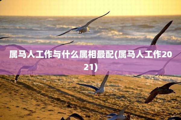属马人工作与什么属相最配(属马人工作2021)