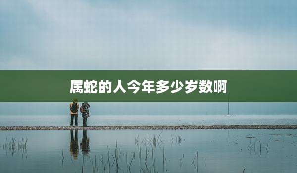 属蛇的人今年多少岁数啊