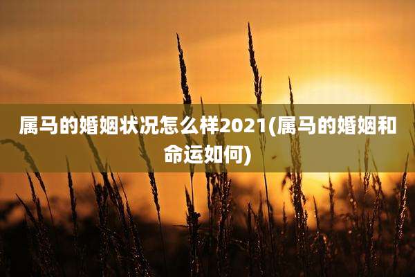属马的婚姻状况怎么样2021(属马的婚姻和命运如何)