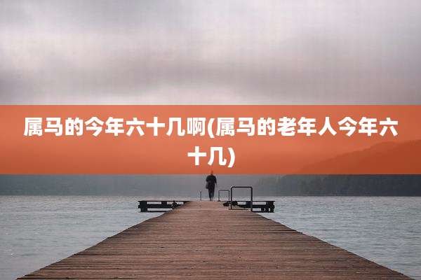 属马的今年六十几啊(属马的老年人今年六十几)