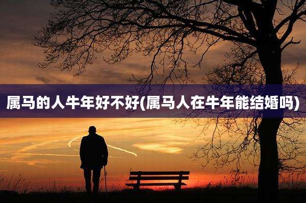 属马的人牛年好不好(属马人在牛年能结婚吗)