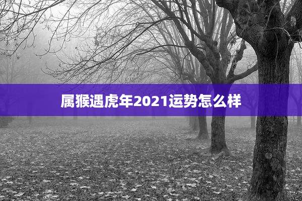 属猴遇虎年2021运势怎么样