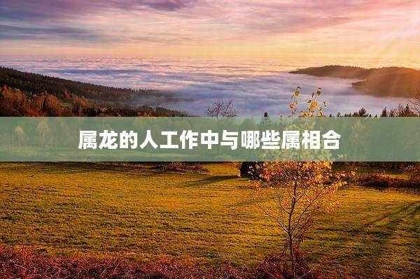属龙的人工作中与哪些属相合