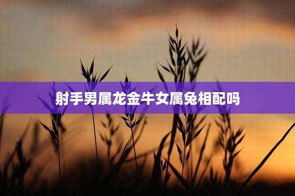 射手男属龙金牛女属兔相配吗