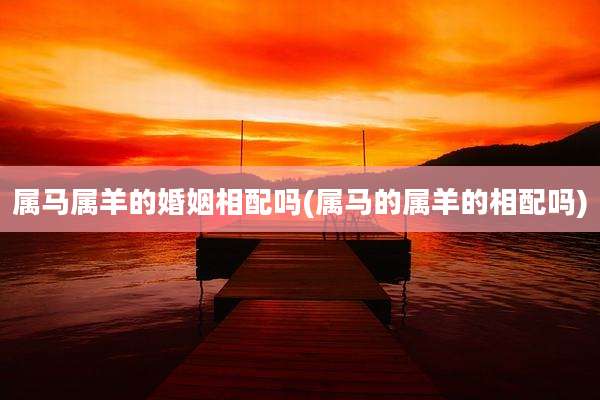 属马属羊的婚姻相配吗(属马的属羊的相配吗)