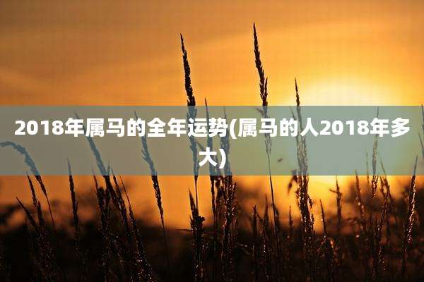 2018年属马的全年运势(属马的人2018年多大)