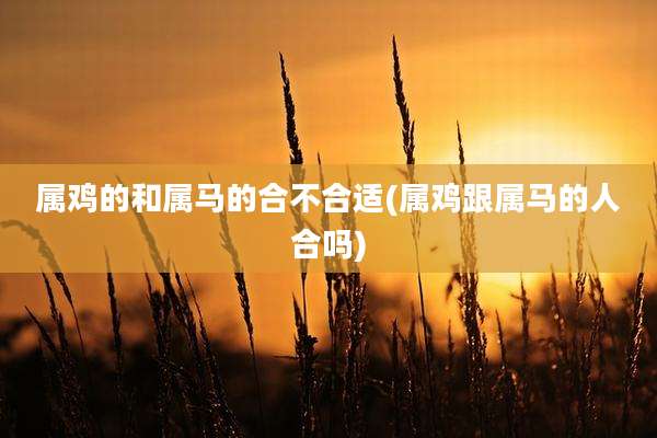 属鸡的和属马的合不合适(属鸡跟属马的人合吗)