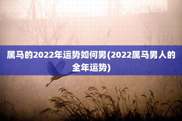 属马的2022年运势如何男(2022属马男人的全年运势)
