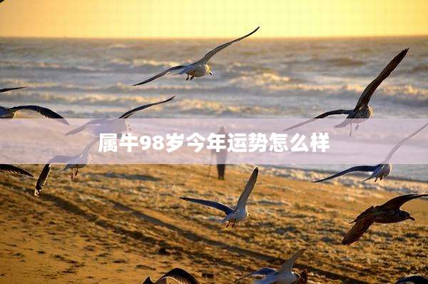 属牛98岁今年运势怎么样
