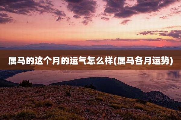 属马的这个月的运气怎么样(属马各月运势)