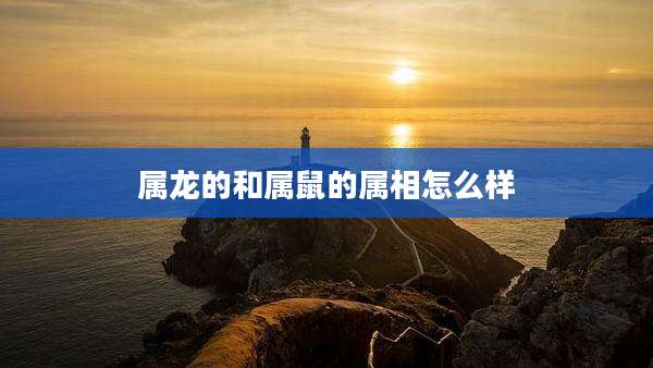 属龙的和属鼠的属相怎么样