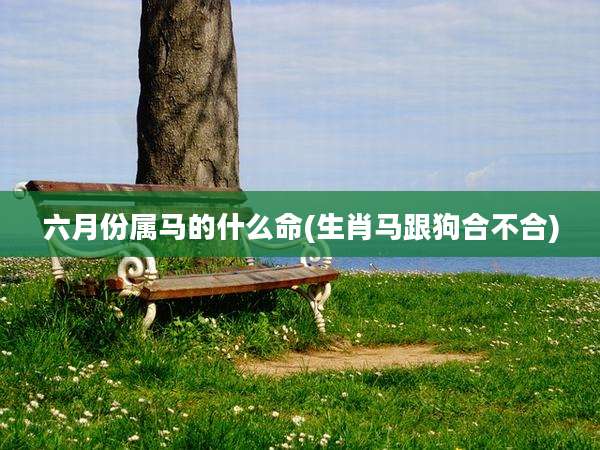 六月份属马的什么命(生肖马跟狗合不合)