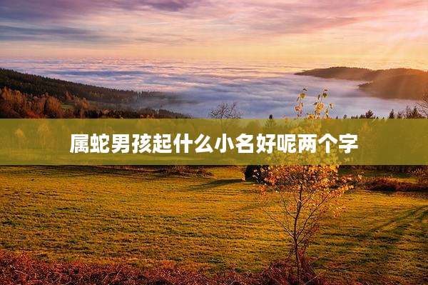 属蛇男孩起什么小名好呢两个字