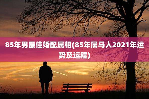 85年男最佳婚配属相(85年属马人2021年运势及运程)
