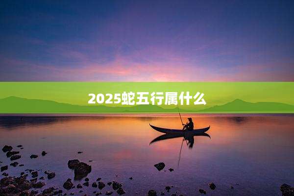 2025蛇五行属什么