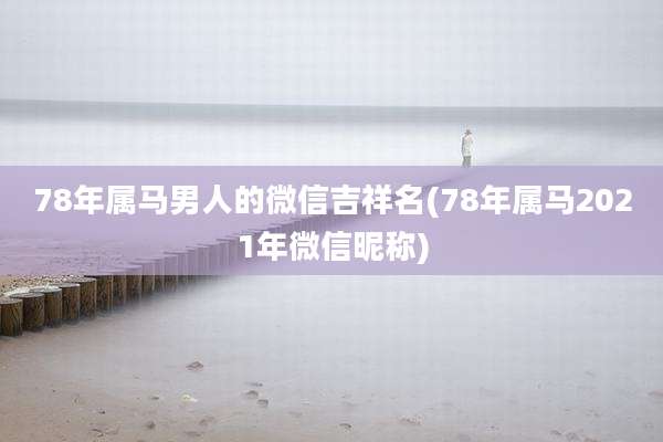 78年属马男人的微信吉祥名(78年属马2021年微信昵称)