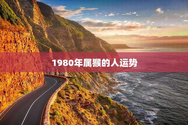 1980年属猴的人运势
