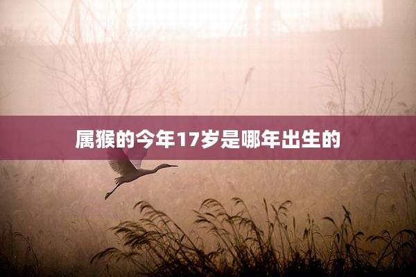 属猴的今年17岁是哪年出生的