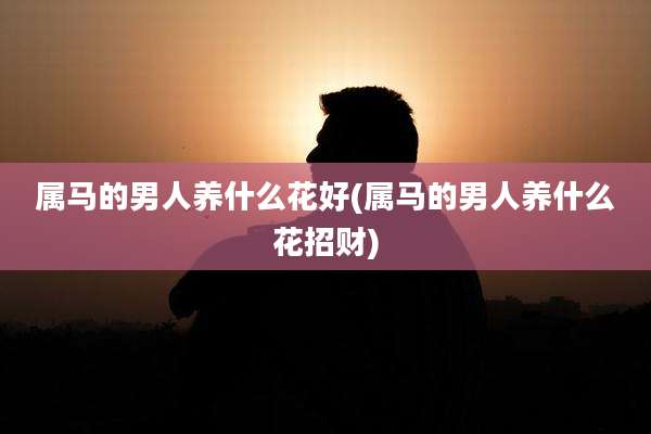 属马的男人养什么花好(属马的男人养什么花招财)