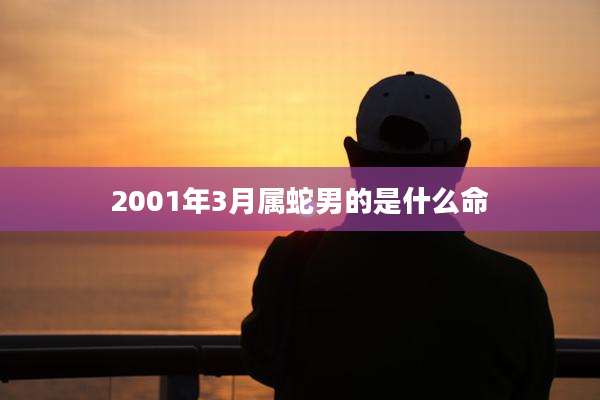 2001年3月属蛇男的是什么命