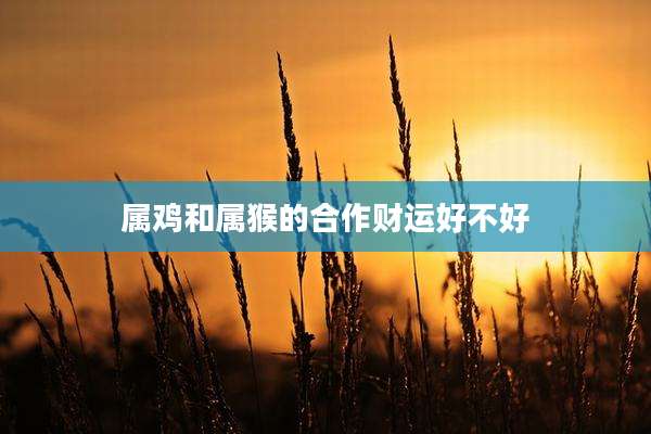 属鸡和属猴的合作财运好不好