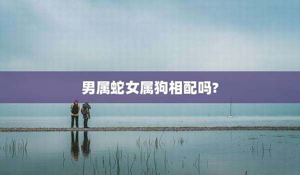 男属蛇女属狗相配吗?