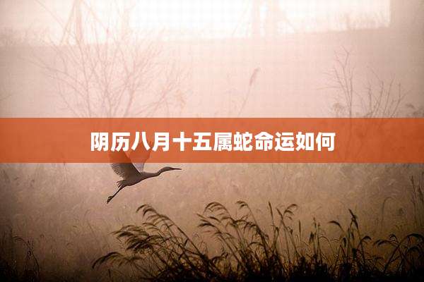 阴历八月十五属蛇命运如何